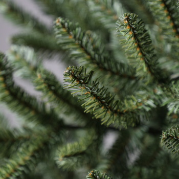 Novogodišnja jelka Breton Pine 210cm -1